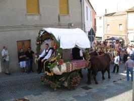 matrimonio-mauritano (256).html